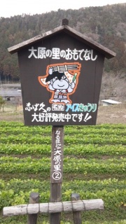 �匴����