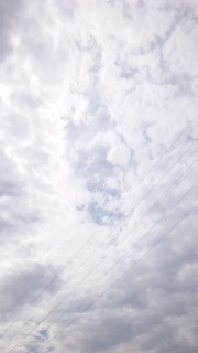�����l�ł�