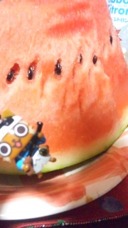 �܂��X�C�J