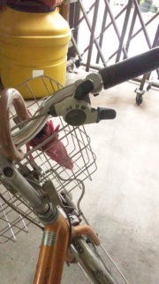 ���ꂩ��