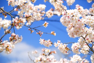 �t�����