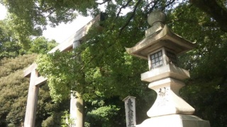 �M�c�_�{